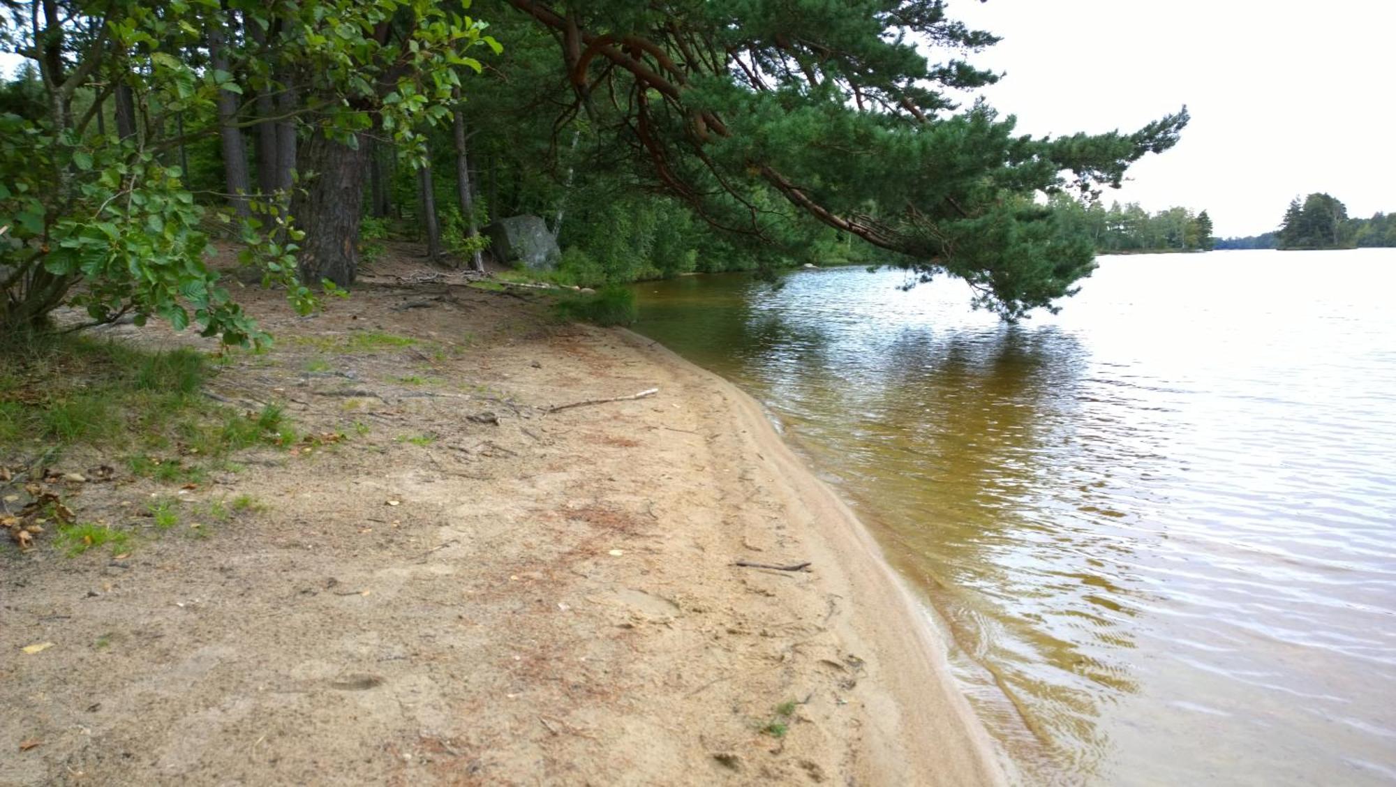 Langasjoenaes Camping & Stugby 칼스함 외부 사진